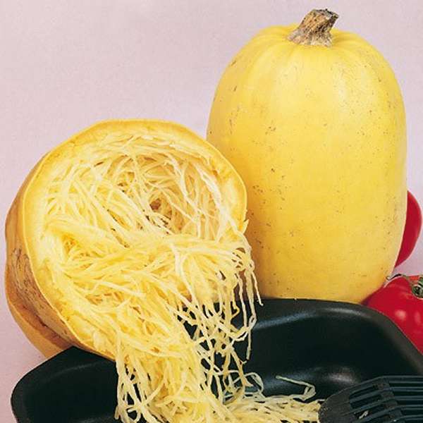 zucca-spaghetti