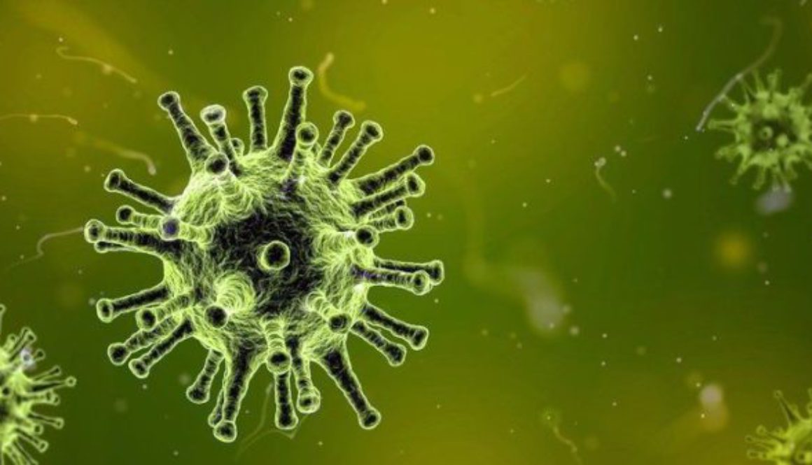 Il morbillo naturale protegge dagli infarti – il vaccino non lo fa.