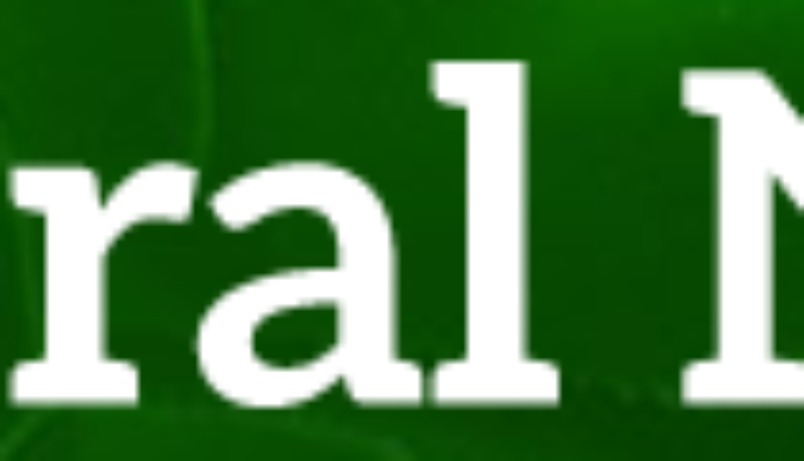 natural-news-logo