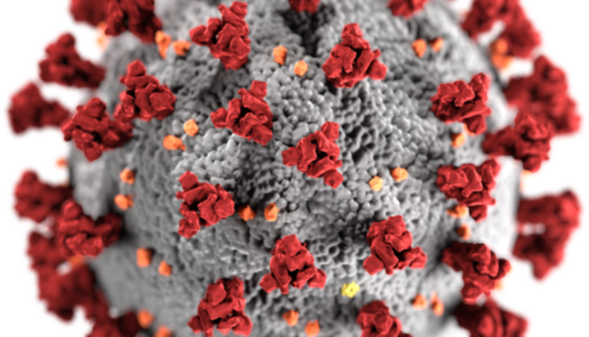 800px-SARS-CoV-2_without_background